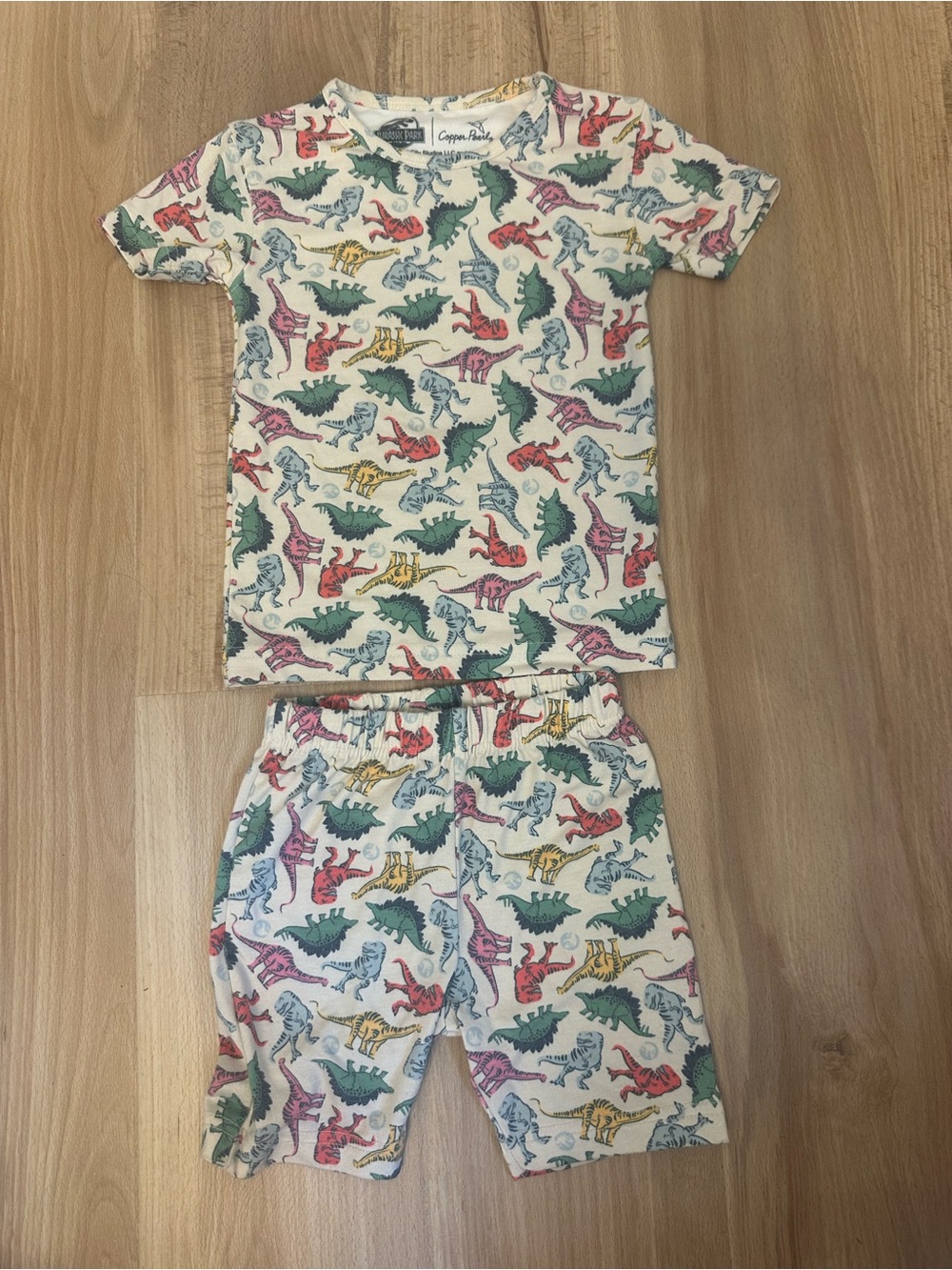 Copper Pearl Jurassic Park Kids Dinosaur Pajama Set - Multicolor Dino Print
